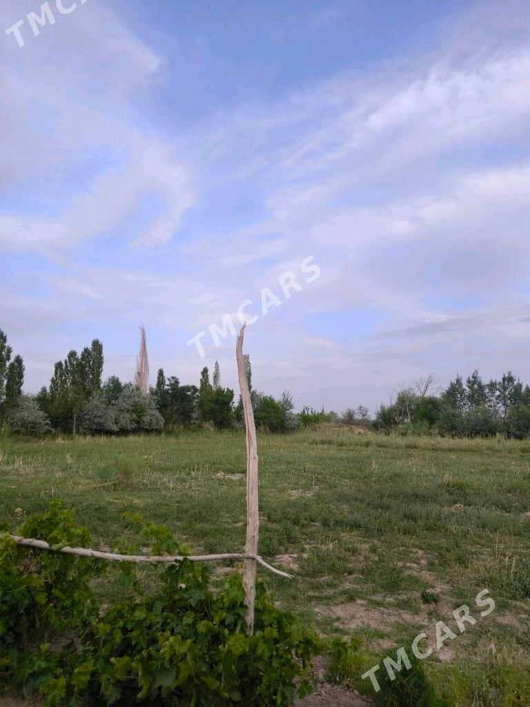 yzmyhsir gala yaninda - Дашогуз - img 6