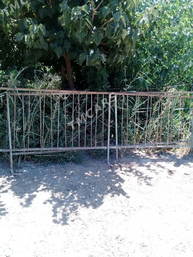RŞOTKA ZABOR - Туркменабат - img 1