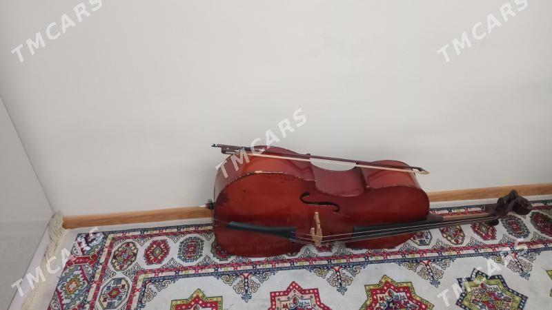 Welencel - Parahat 7 - img 2