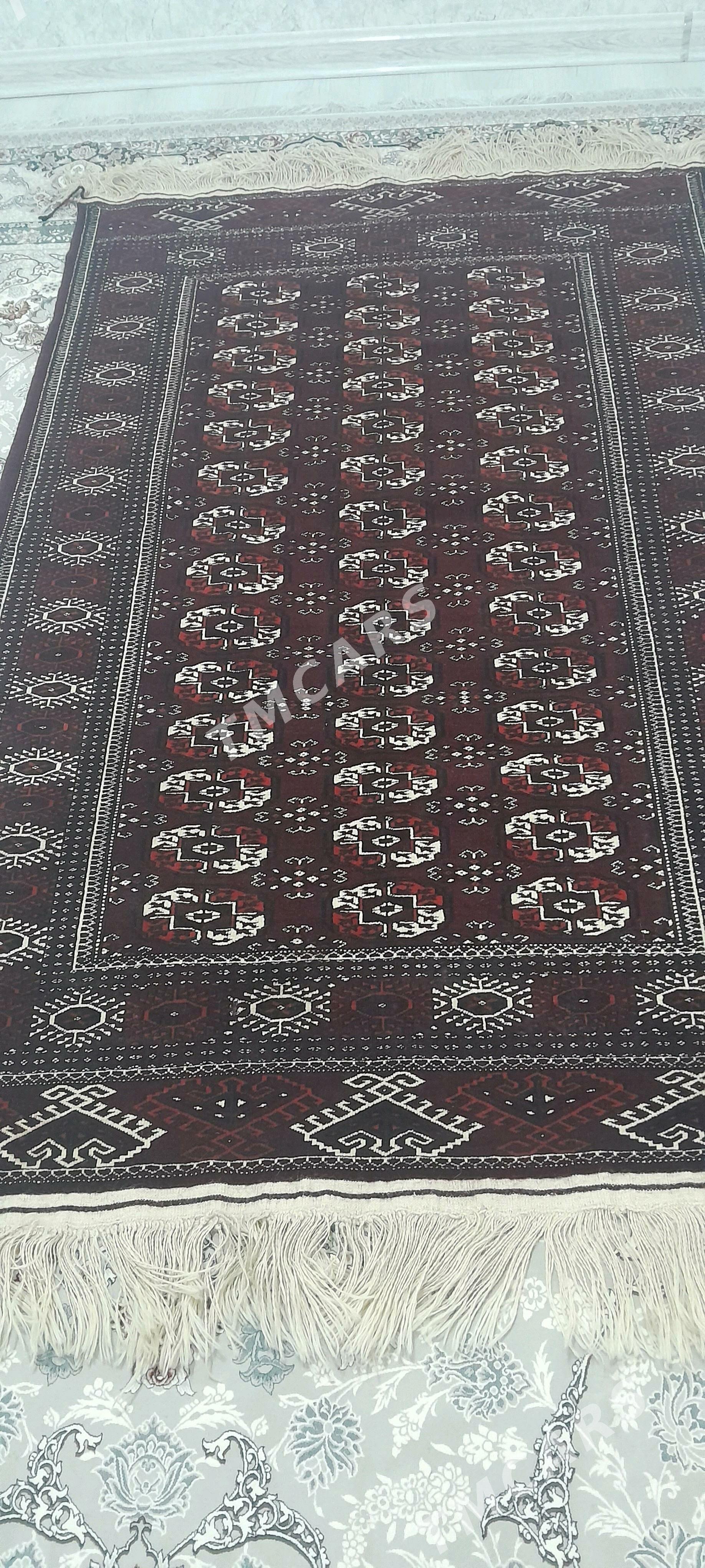 haly - Türkmenbaşy - img 1