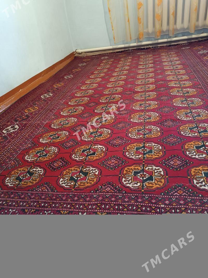 Türkmen haly - Gubadag - img 2