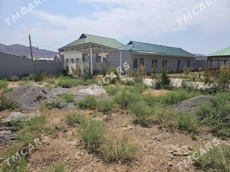 Bagyr (Mirewe) - Багир - img 3