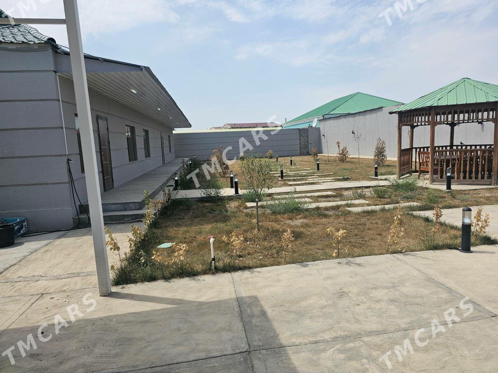 Bagyr (Mirewe) - Багир - img 2