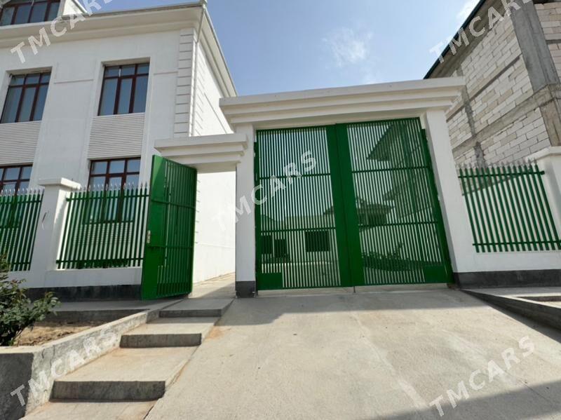satlyk Anew kotež eyesinden - Änew - img 2