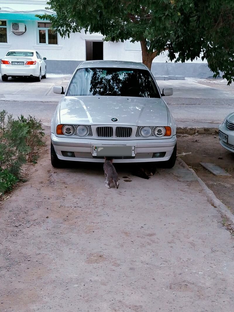 BMW 525 1996 - 80 000 TMT - Туркменбаши - img 4