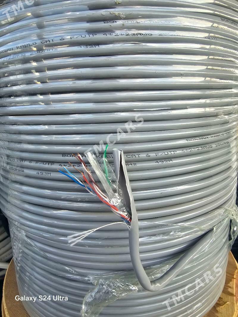 Cat 6 - Aşgabat - img 1