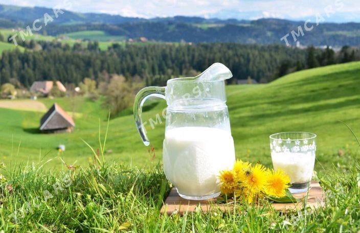 Damaşny süýt gerek 1 litr 5.50 - Багир - img 2
