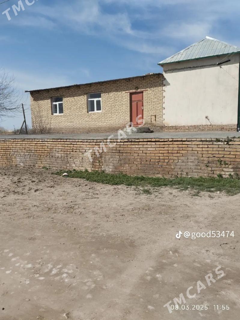 Howlu jay 25 sotuk - Гарабекевюл - img 7