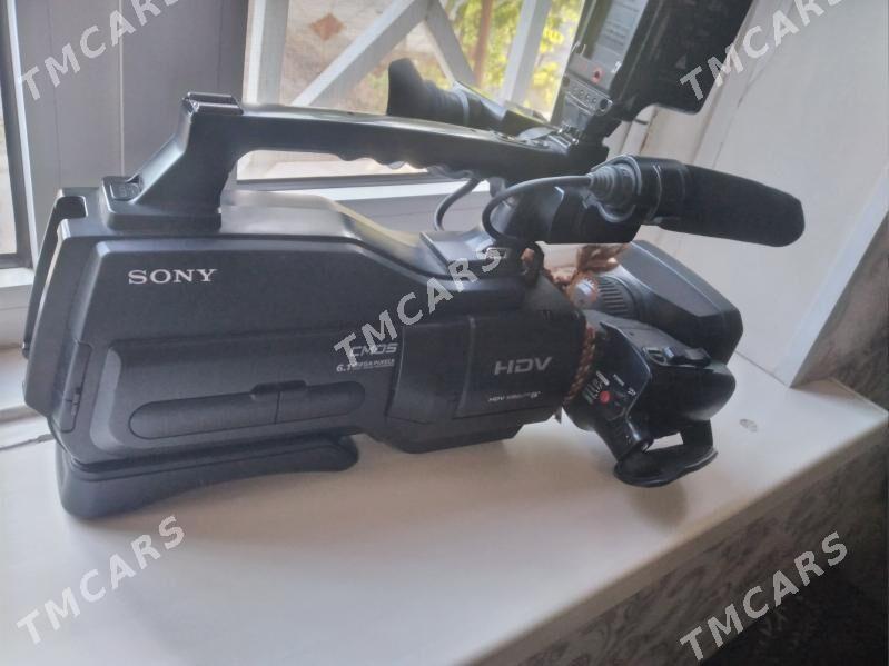 SONY1000 - Mary - img 2