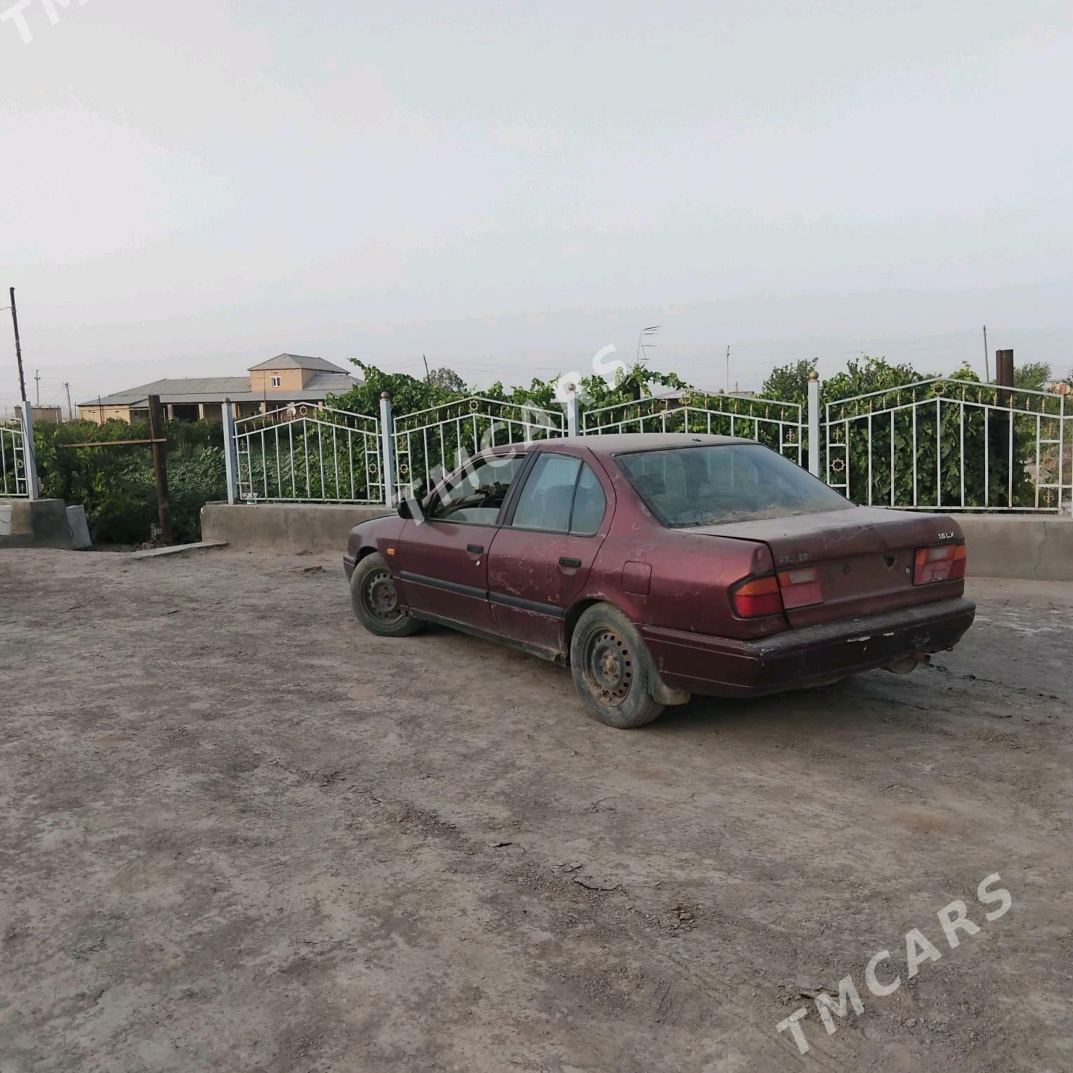 Nissan Primera 1994 - 15 000 TMT - Dostluk - img 3