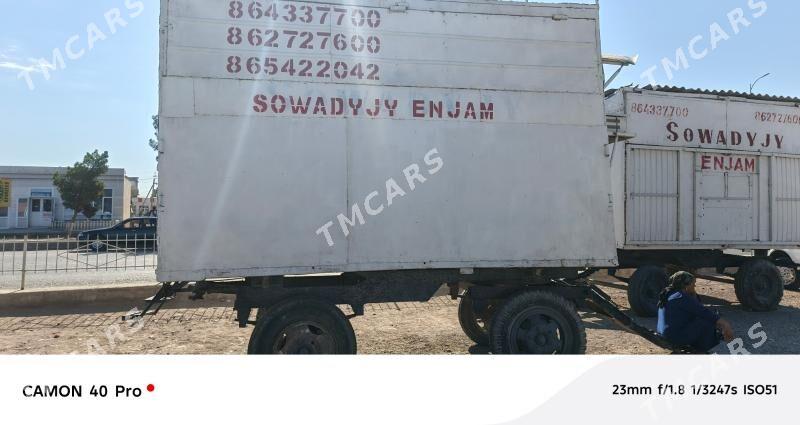 sowodyjy - Sakarçäge - img 2