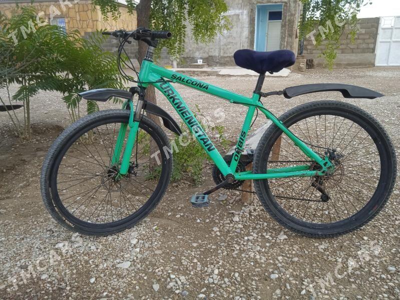 Turkmenistan welik - Гумдаг - img 3