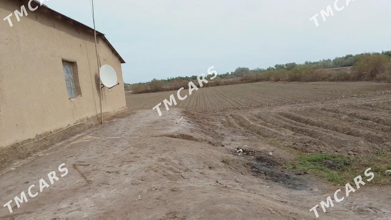 Jay - Болдумсаз - img 2