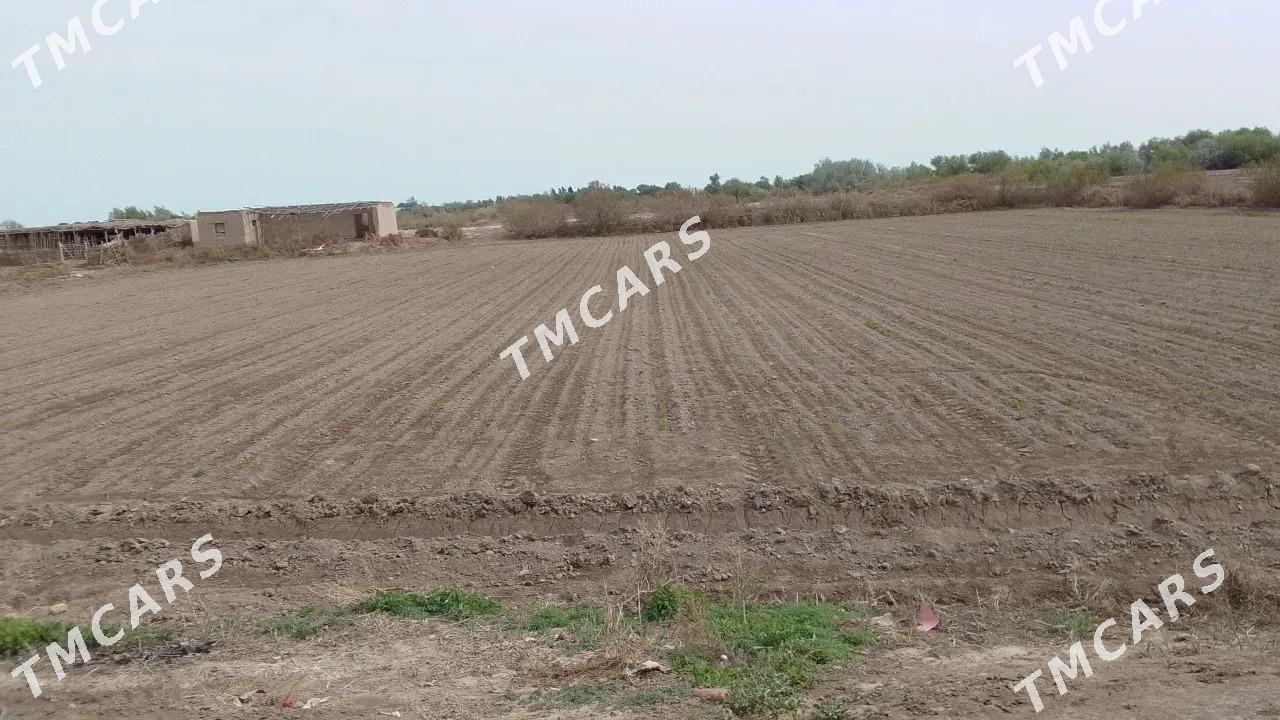 Jay - Болдумсаз - img 5