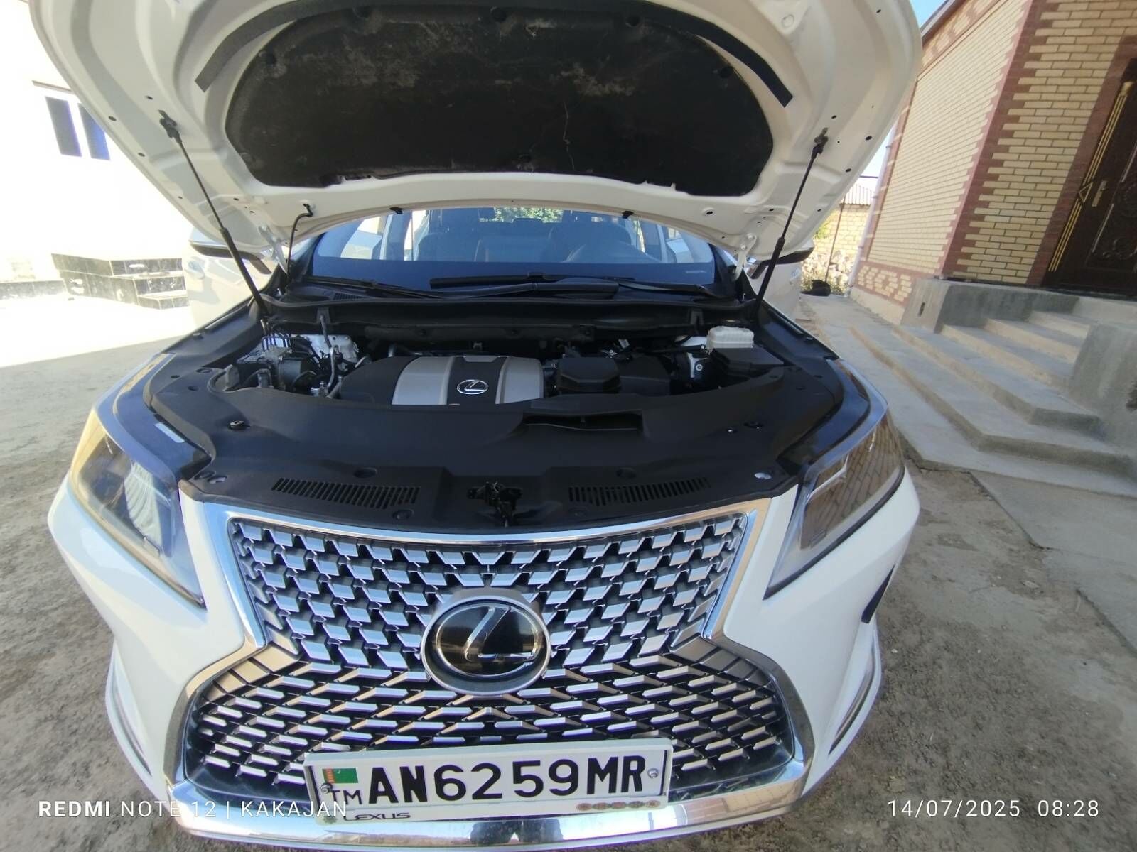 Lexus RX 350 2020 - 460 000 TMT - Mary - img 6