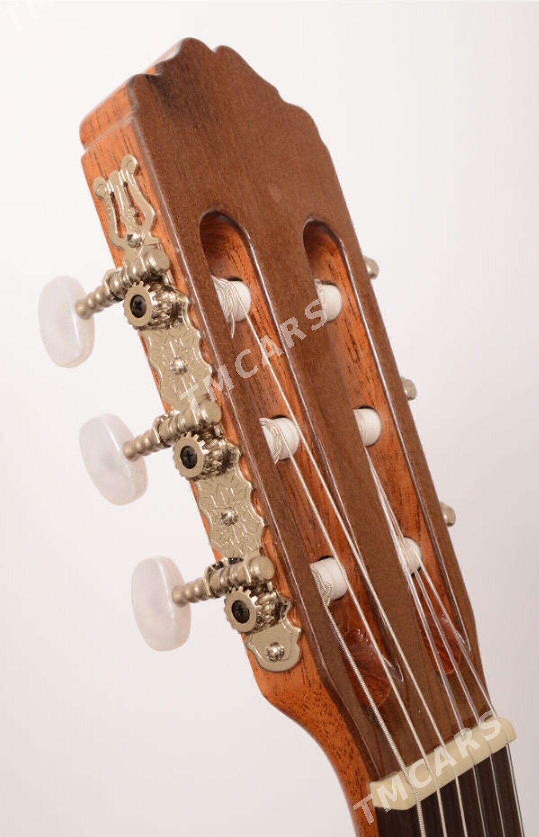 Raýmundo gitara. - Änew - img 3