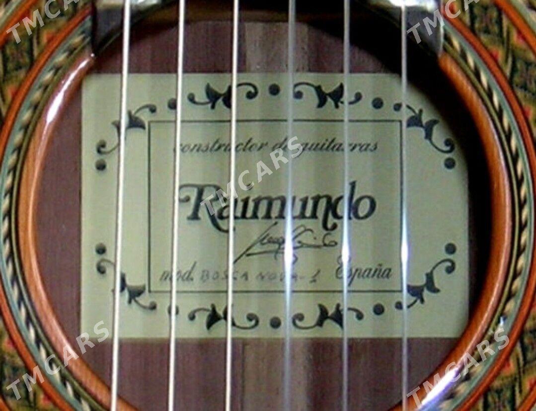 Raýmundo gitara. - Änew - img 4
