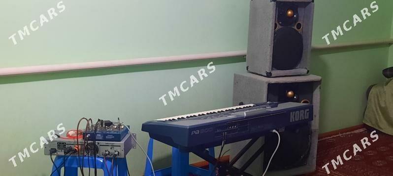 TOÝ APARAT KORG PA800 - Дашогуз - img 1