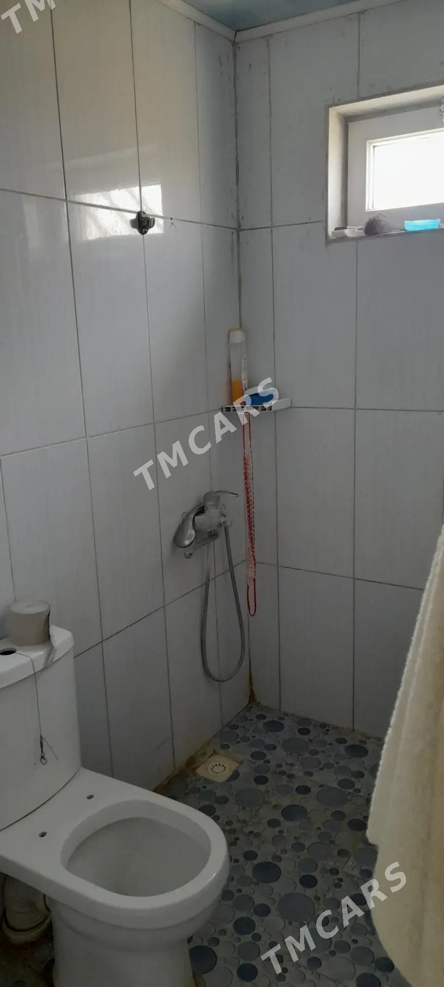 Daca Дача - Änew - img 6