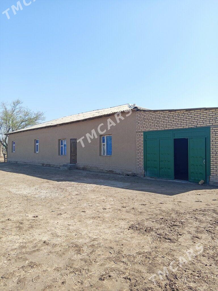 Satlyk Jay - Türkmenbaşy etr. - img 4