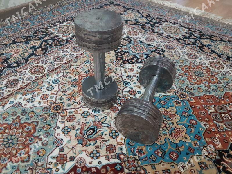 GANTEL 11 KG   Гантели - Türkmenbaşy - img 2