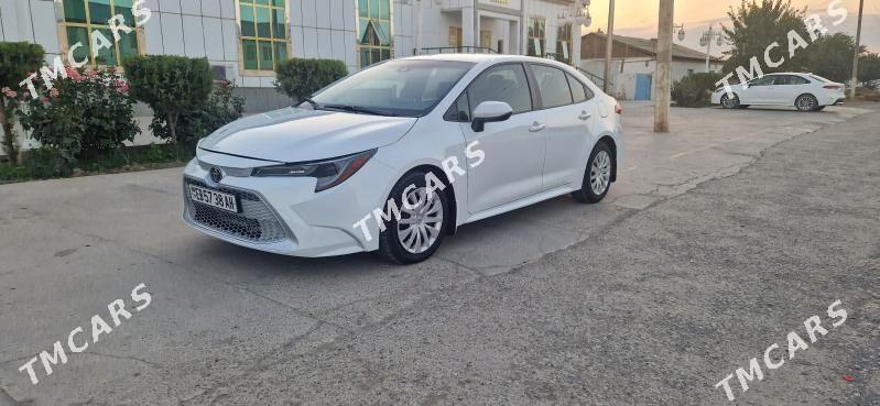 Toyota Corolla 2021 - 210 000 TMT - Tejen - img 4