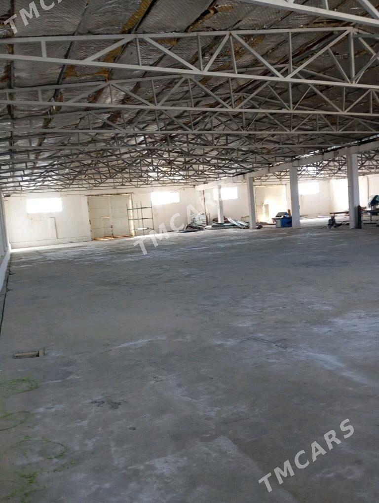 skilat ve stanok  bile - Бахарден - img 4