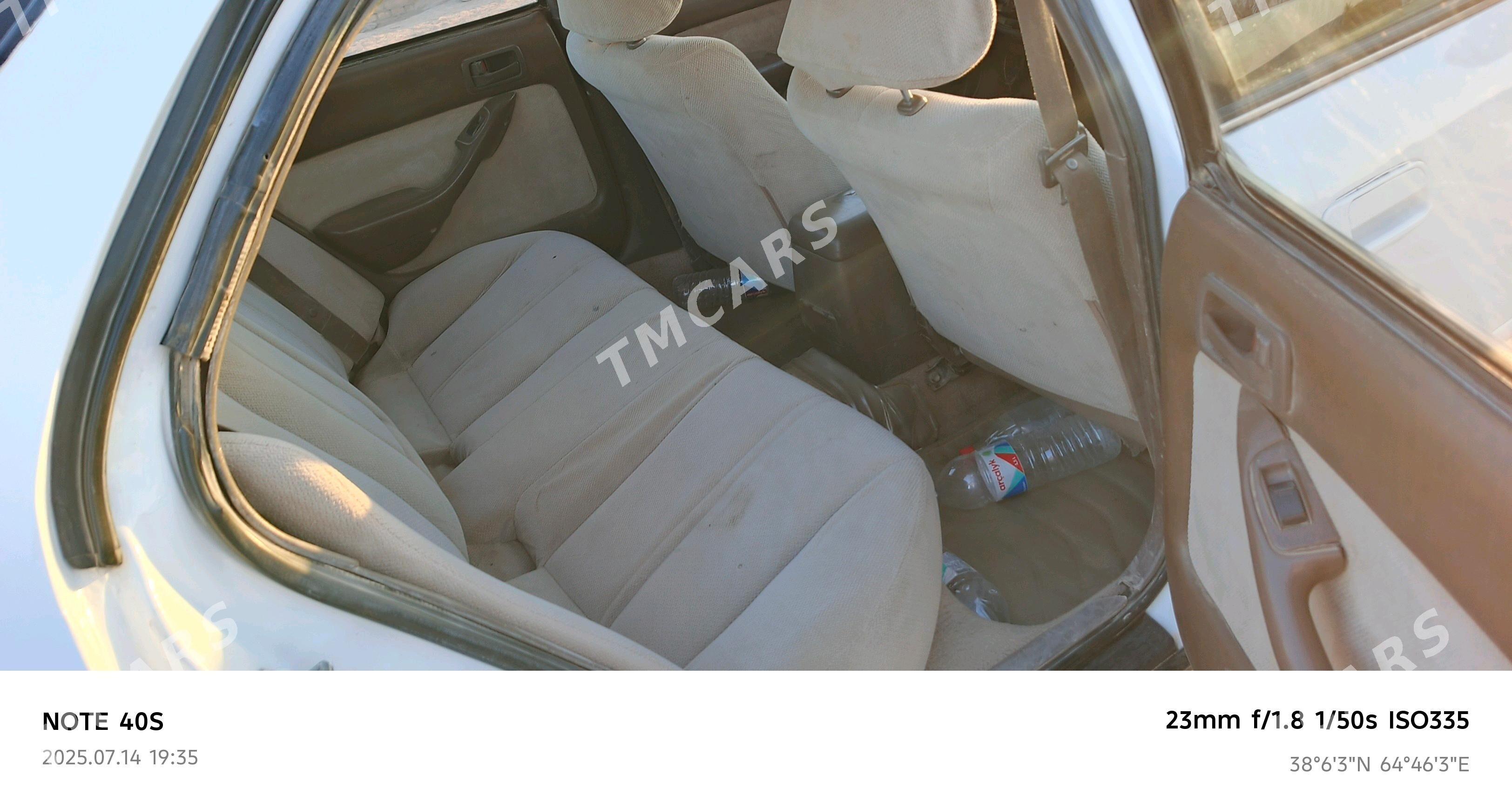 Toyota Camry 1995 - 60 000 TMT - Halaç - img 6