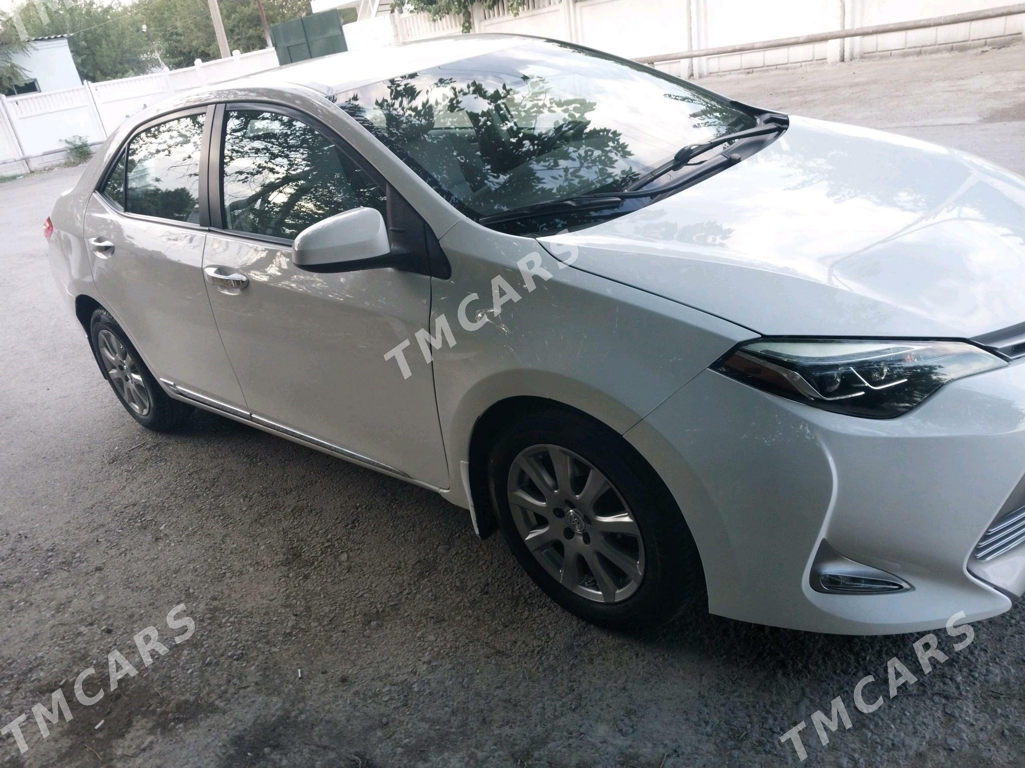 Toyota Corolla 2019 - 190 000 TMT - Бедев - img 2