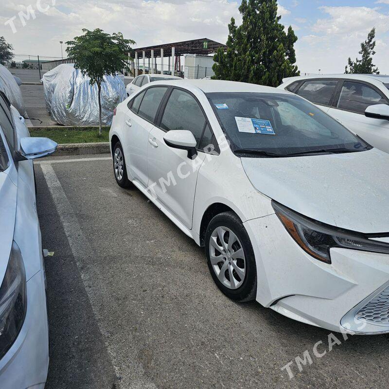 Toyota Corolla 2020 - 245 000 TMT - Ашхабад - img 3