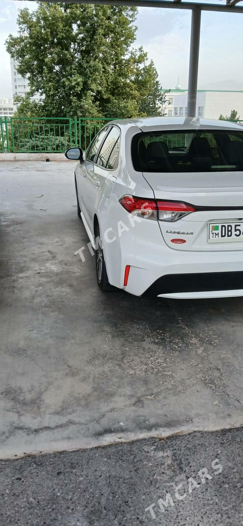 Toyota Corolla 2020 - 248 000 TMT - Ашхабад - img 7