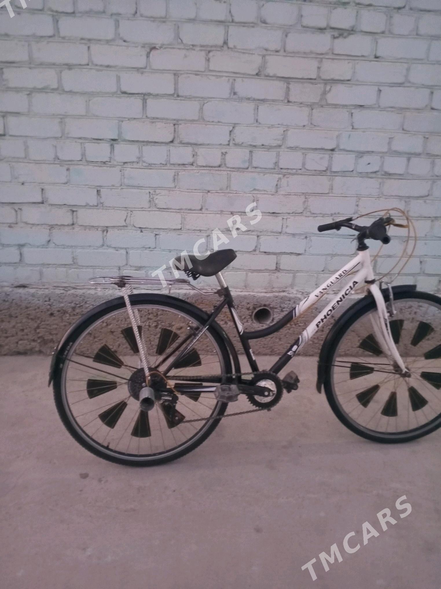 Tigir - Aşgabat - img 2