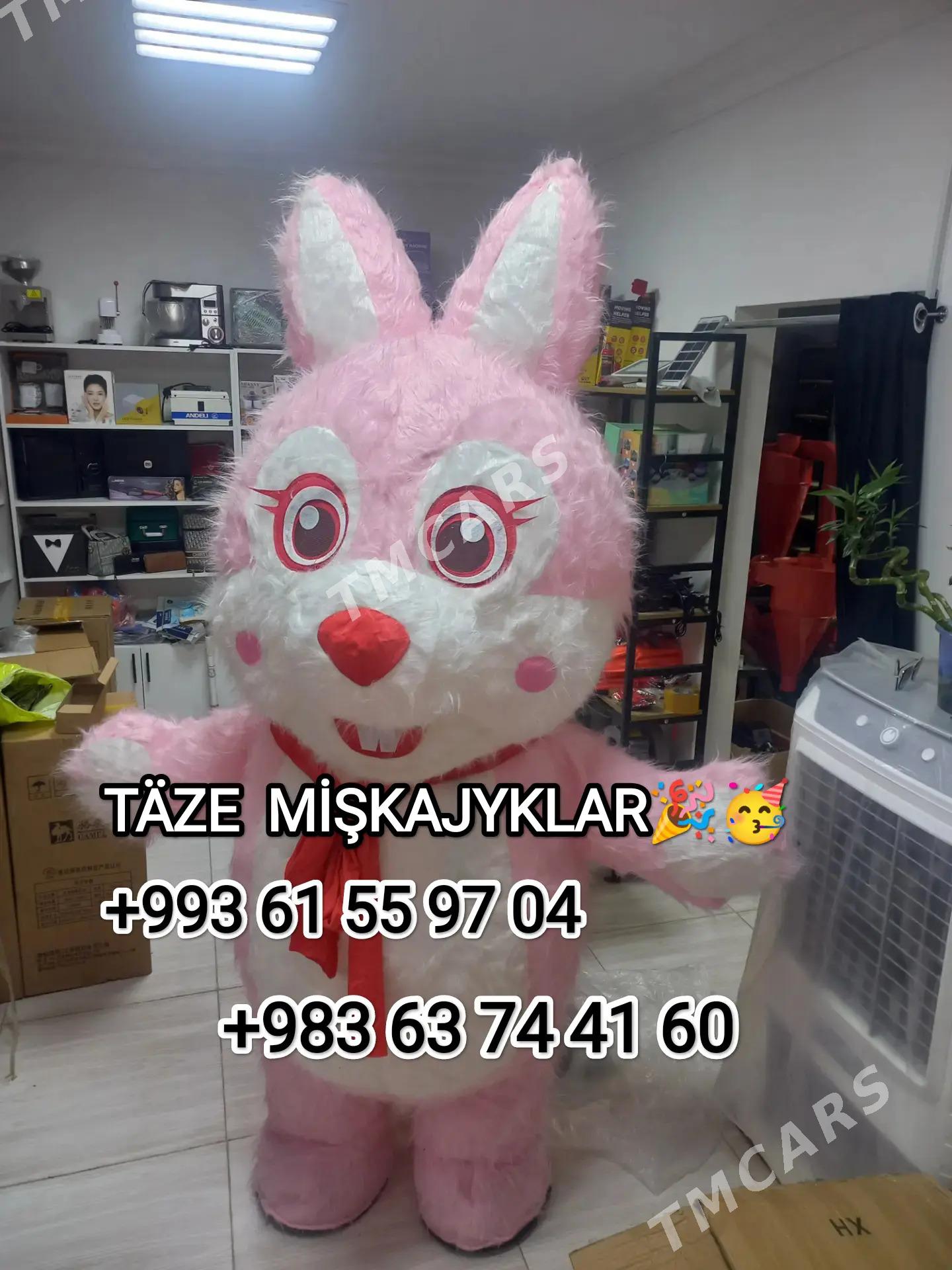 Miśka Towśan - Türkmenbaşy - img 2