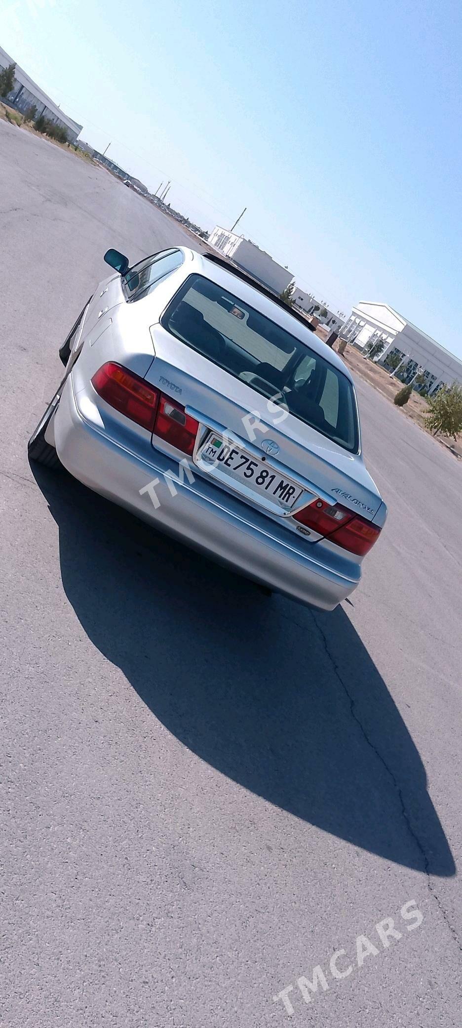 Toyota Avalon 1999 - 125 000 TMT - Sakarçäge - img 3