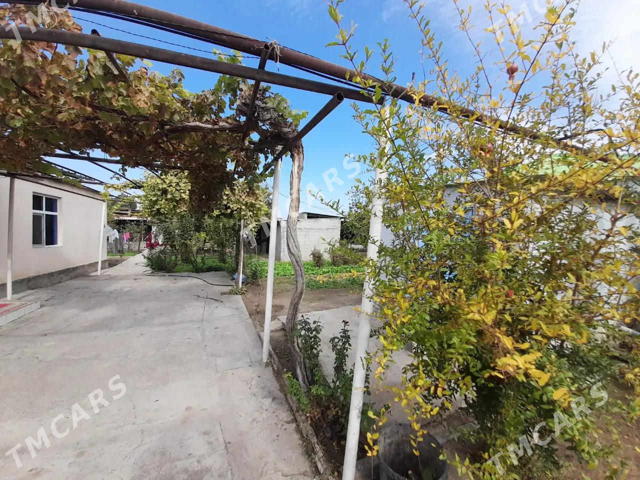 ÝANBAŞ OBA 8 SOTOK ARZAN JAÝ - Aşgabat - img 6