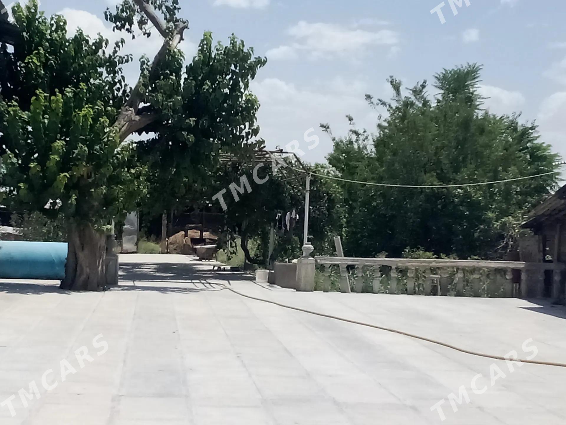 Bahar - Кака - img 2