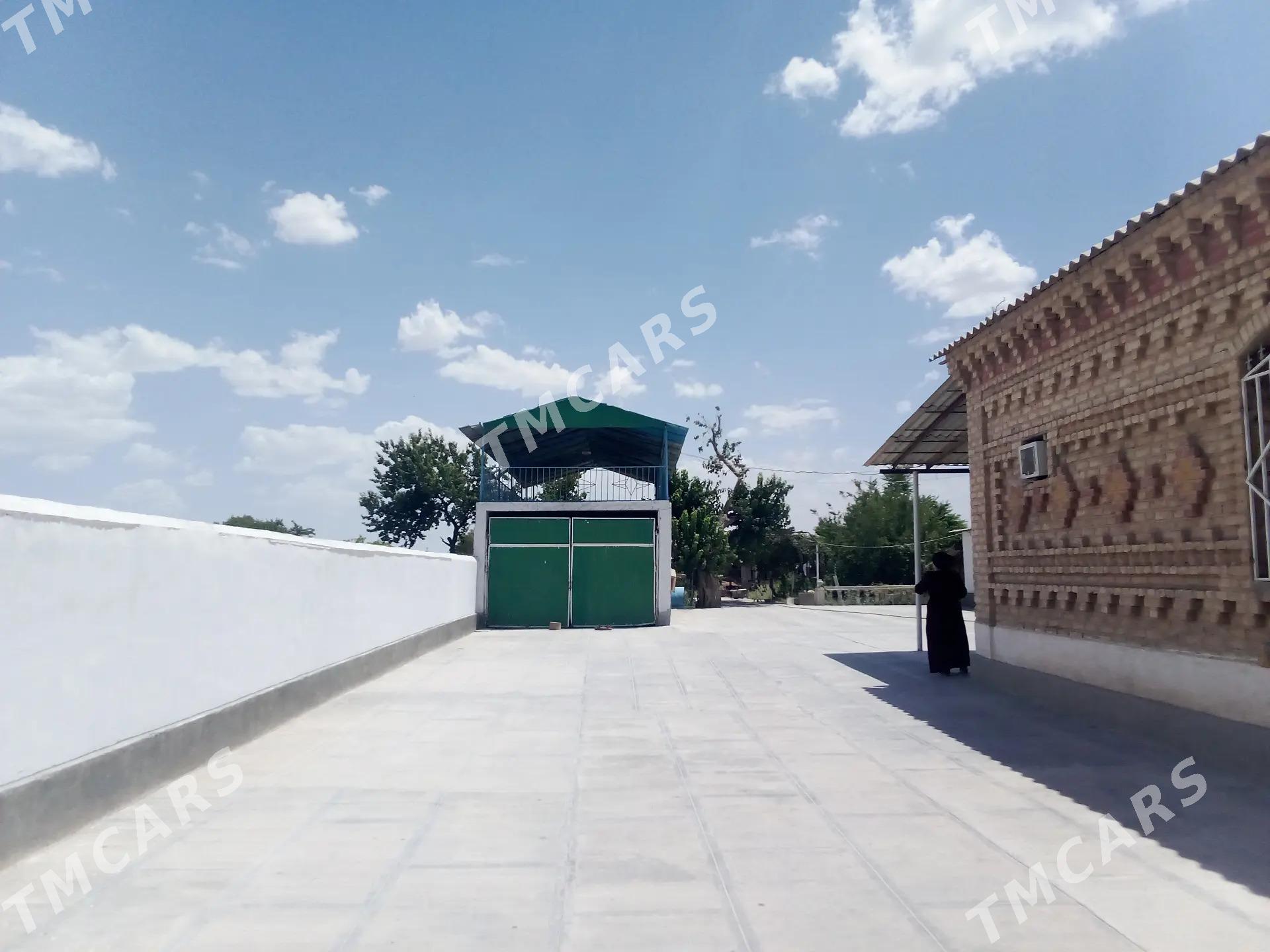 Bahar - Кака - img 3