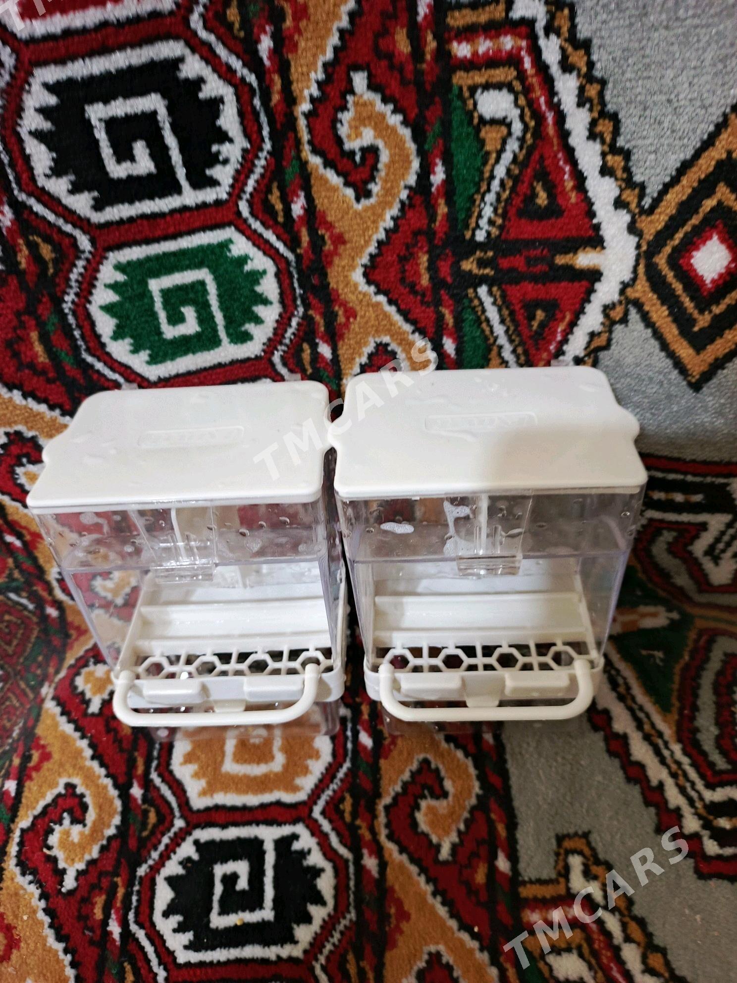 Aftokarmuşka - Aşgabat - img 2