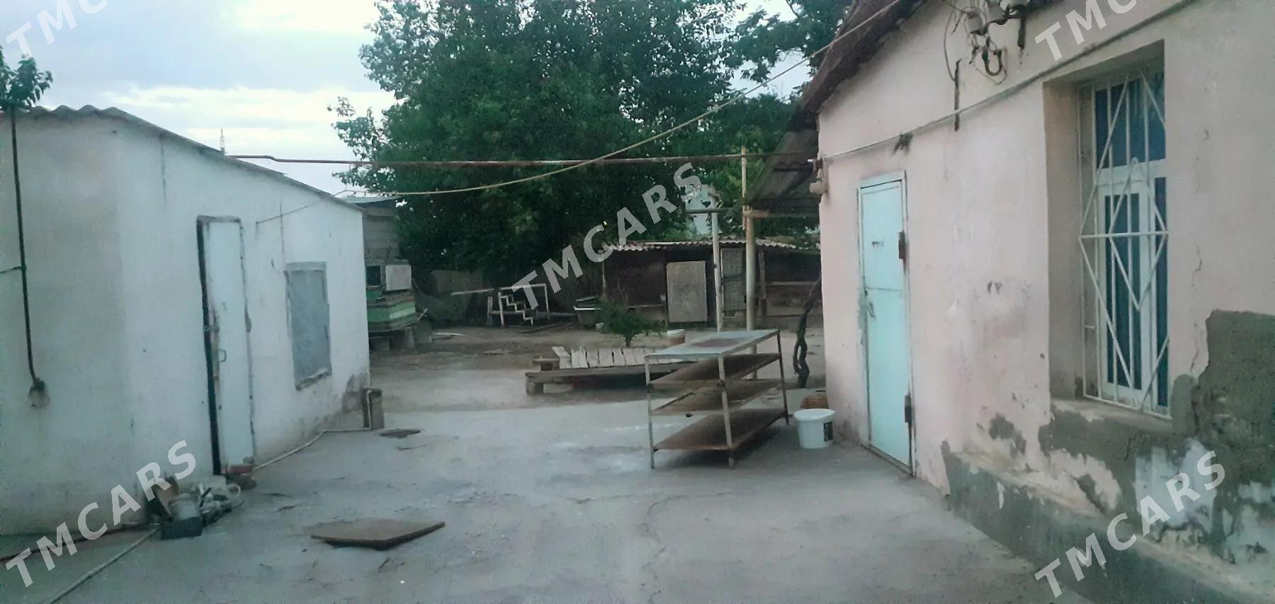 Безмеин -грес 6 соток - Ашхабад - img 3