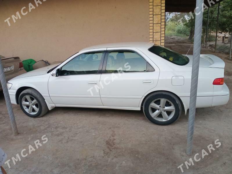 Toyota Camry 2001 - 135 000 TMT - Gurbansoltan Eje - img 2