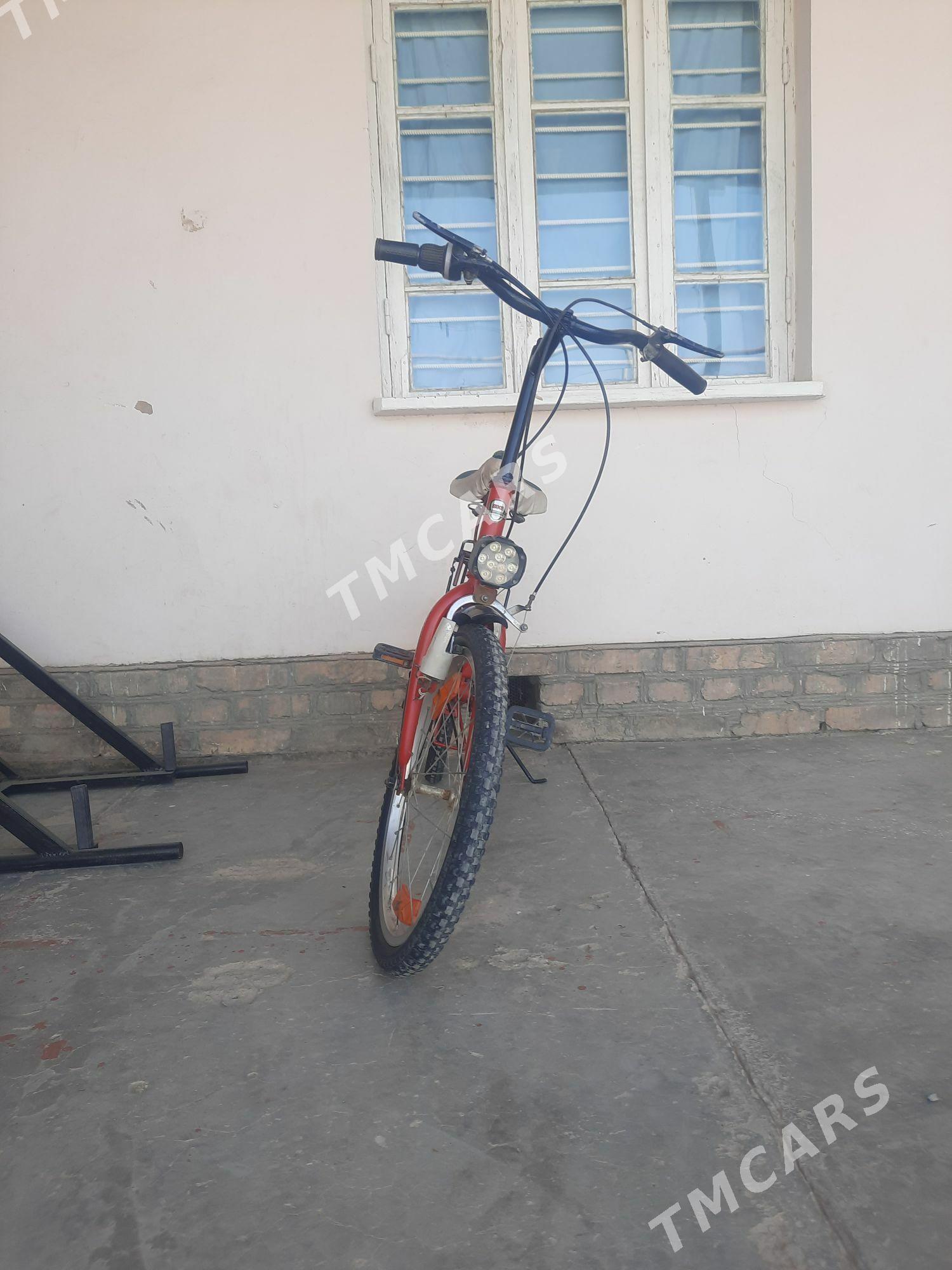 Kama - Sakarçäge - img 2