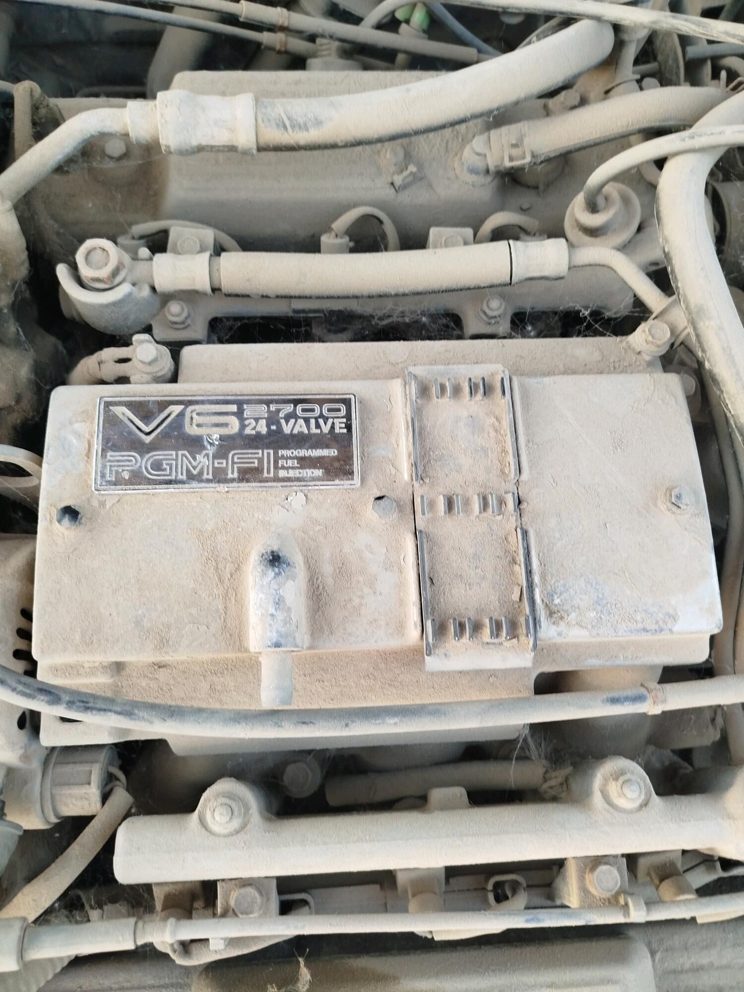 Hyundai zapcast 5 000 TMT - Sakarçäge - img 4
