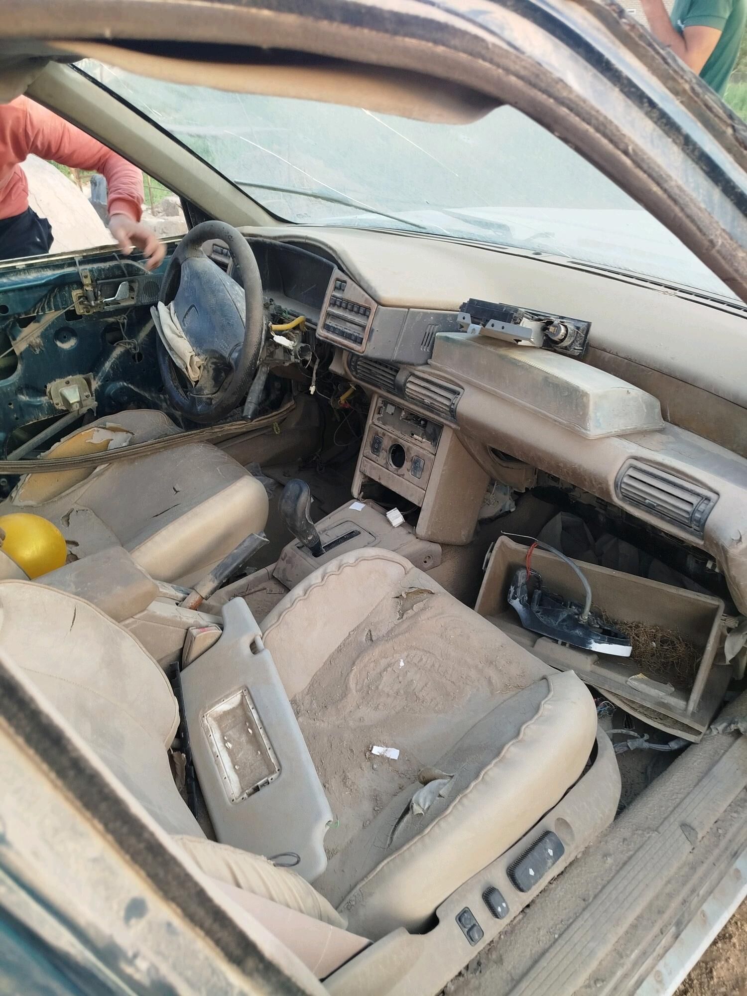 Hyundai zapcast 5 000 TMT - Sakarçäge - img 5