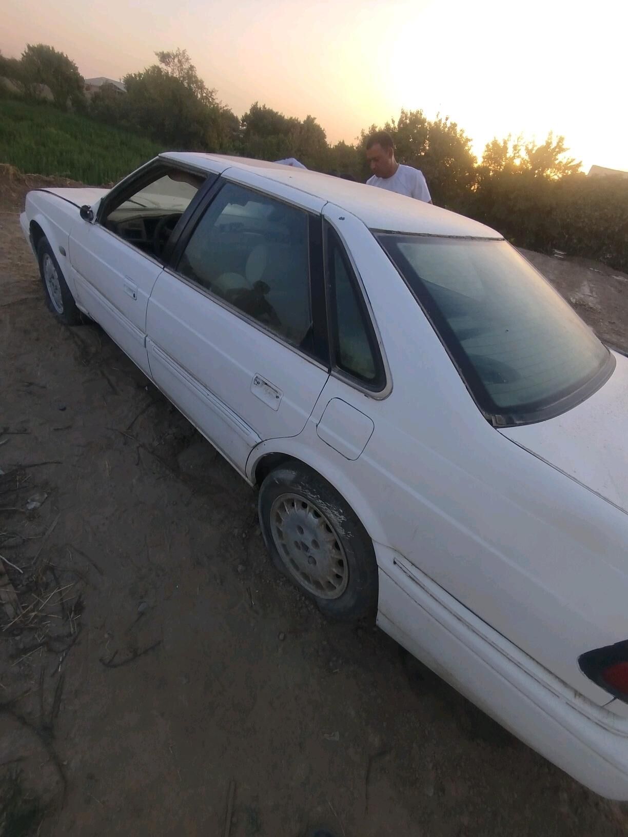 Hyundai zapcast 5 000 TMT - Sakarçäge - img 2