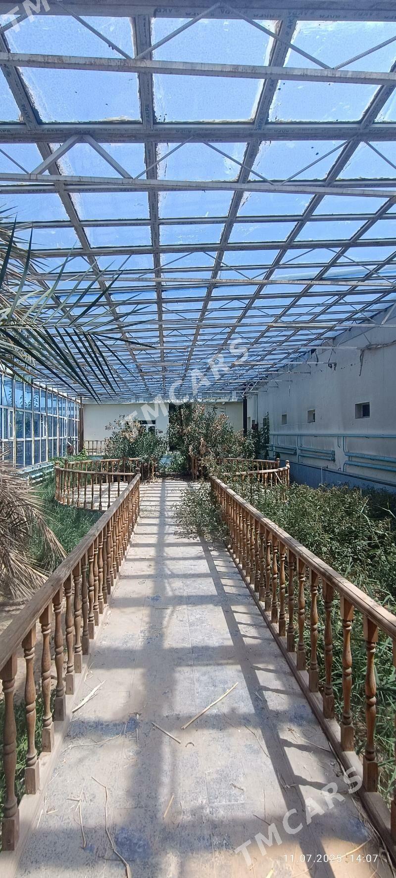 24 соток  Плановый Дом. - Daşoguz - img 6