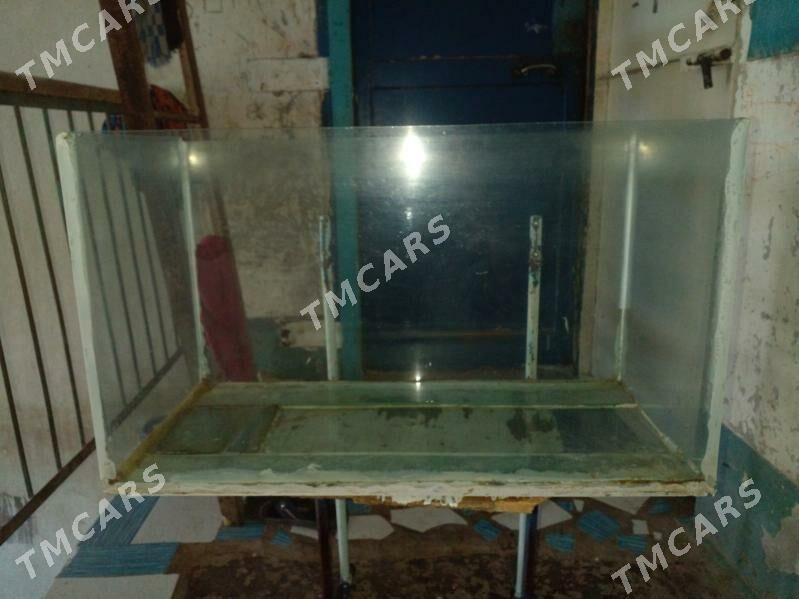 продаю аквариум - Türkmenabat - img 2