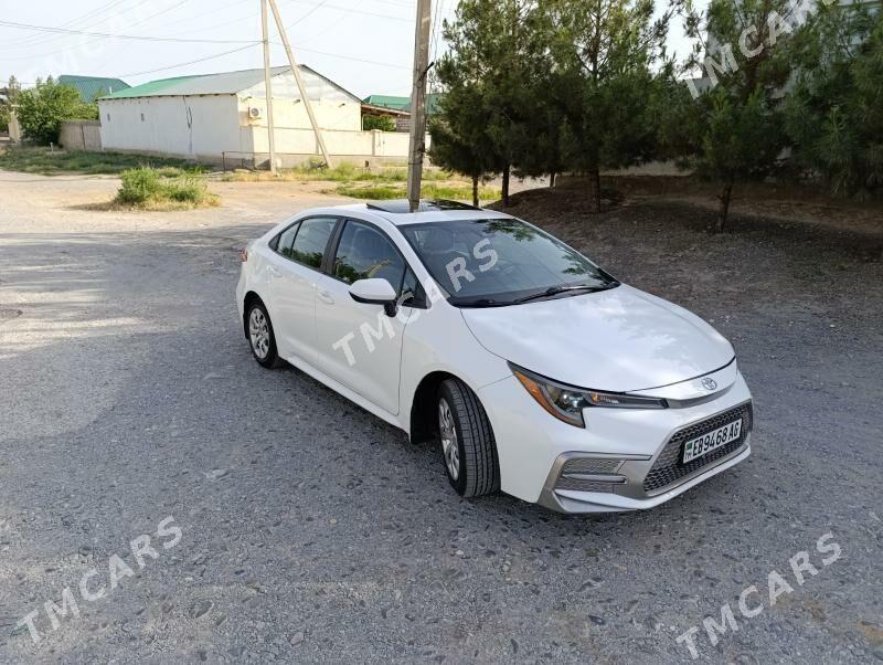 Toyota Corolla 2020 - 236 000 TMT - Çoganly - img 2