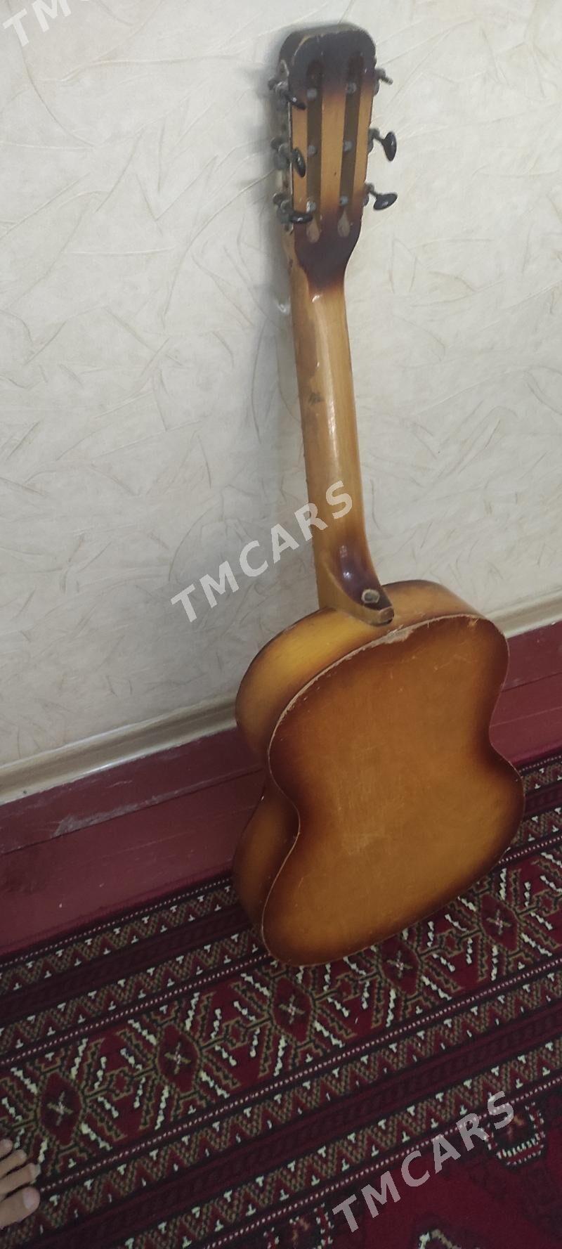 gitara - Mary - img 2