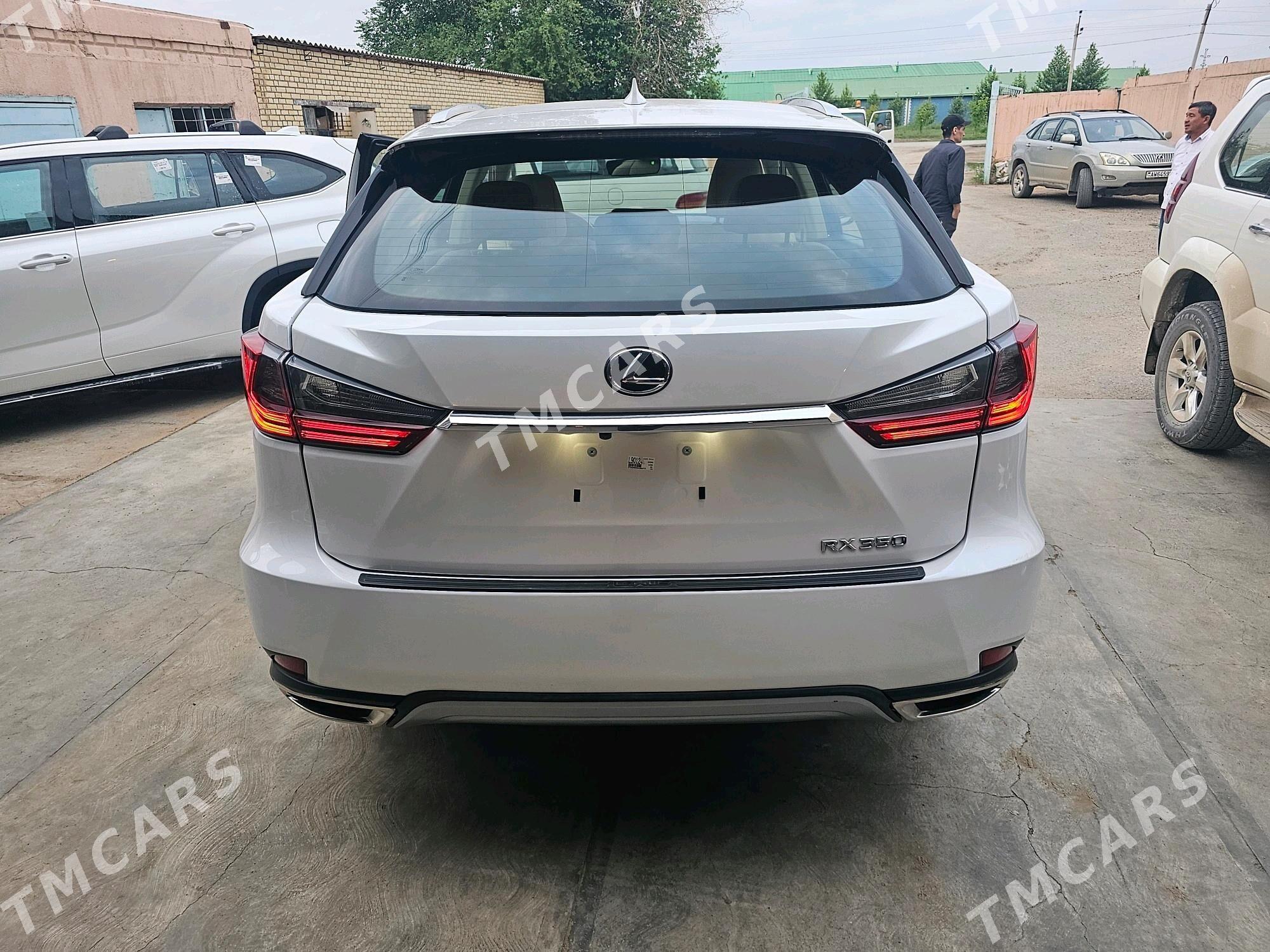 Lexus RX 350 2020 - 650 000 TMT - Mary - img 3