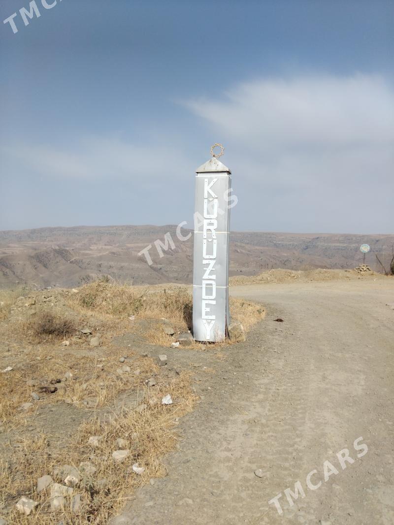 yuk dasama hyzmaty - Aşgabat - img 8
